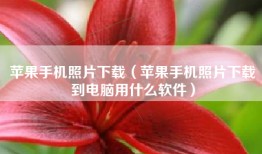 苹果手机照片下载（苹果手机照片下载到电脑用什么软件）