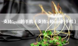 支持5gwifi的手机（支持5g和wifi6的手机）
