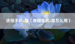连接手机u盘（连接手机u盘怎么用）
