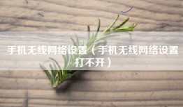 手机无线网络设置（手机无线网络设置打不开）