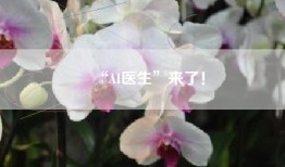 “AI医生”来了！