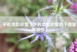 手机类似迅雷（手机类似迅雷的下载器有哪些）