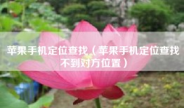 苹果手机定位查找（苹果手机定位查找不到对方位置）