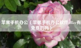 苹果手机办公（苹果手机办公软件office有免费的吗）