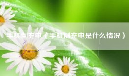手机倒充电（手机倒充电是什么情况）