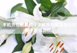 手机外接触摸屏（手机外接触摸屏反控能不能玩游戏）