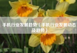 手机行业发展趋势（手机行业发展动态及趋势）