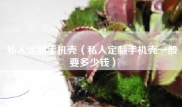 私人定制手机壳（私人定制手机壳一般要多少钱）