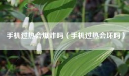 手机过热会爆炸吗（手机过热会坏吗）