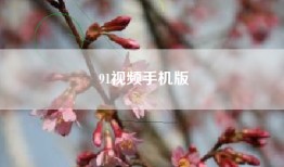 91视频手机版