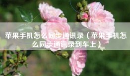 苹果手机怎么同步通讯录（苹果手机怎么同步通讯录到车上）