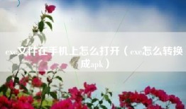exe文件在手机上怎么打开（exe怎么转换成apk）