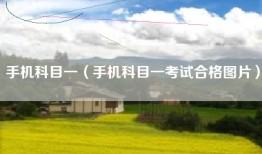 手机科目一（手机科目一考试合格图片）