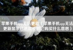 苹果手机app无法更新（苹果手机app无法更新显示已退款或其它购买什么意思）