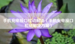 手机充电接口松动解决（手机充电接口松动解决方案）