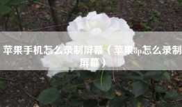 苹果手机怎么录制屏幕（苹果8p怎么录制屏幕）