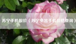 苏宁手机报价（苏宁电器手机价格查询）