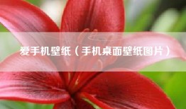 爱手机壁纸（手机桌面壁纸图片）