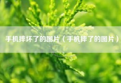 手机摔坏了的图片（手机摔了的图片）