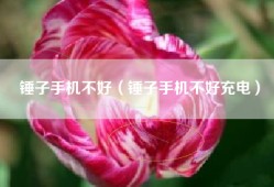 锤子手机不好（锤子手机不好充电）