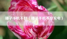 锤子手机不好（锤子手机不好充电）