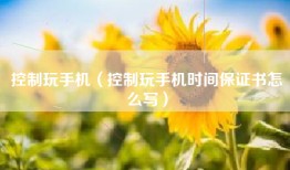 控制玩手机（控制玩手机时间保证书怎么写）