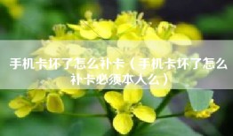 手机卡坏了怎么补卡（手机卡坏了怎么补卡必须本人么）