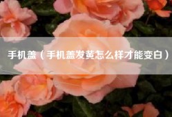 手机盖（手机盖发黄怎么样才能变白）