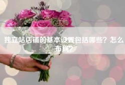 独立站店铺的基本设置包括哪些？怎么布局？