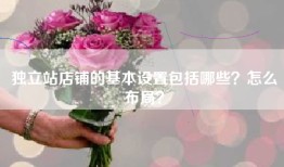 独立站店铺的基本设置包括哪些？怎么布局？