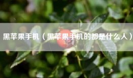 黑苹果手机（黑苹果手机的都是什么人）