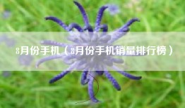 8月份手机（8月份手机销量排行榜）