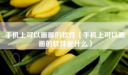手机上可以画画的软件（手机上可以画画的软件是什么）