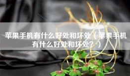 苹果手机有什么好处和坏处（苹果手机有什么好处和坏处？）