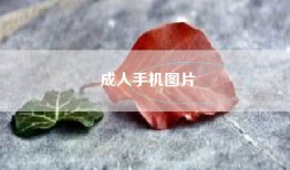 成人手机图片