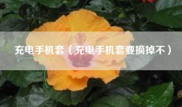 充电手机套（充电手机套要摘掉不）