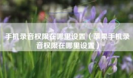 手机录音权限在哪里设置（苹果手机录音权限在哪里设置）