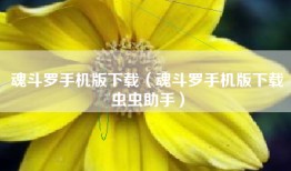 魂斗罗手机版下载（魂斗罗手机版下载虫虫助手）
