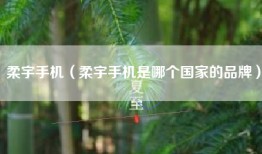 柔宇手机（柔宇手机是哪个国家的品牌）