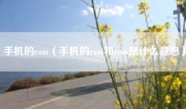 手机的ram（手机的ram和rom是什么意思）