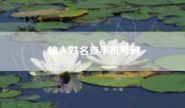 输入姓名查手机号码