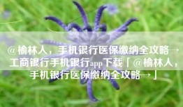 @榆林人，手机银行医保缴纳全攻略→工商银行手机银行app下载「@榆林人，手机银行医保缴纳全攻略→」