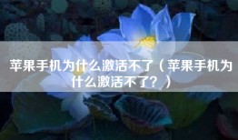 苹果手机为什么激活不了（苹果手机为什么激活不了？）