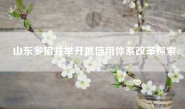 山东多措并举开展信用体系改革探索