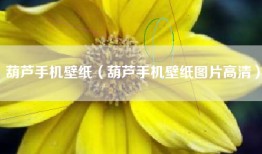 葫芦手机壁纸（葫芦手机壁纸图片高清）