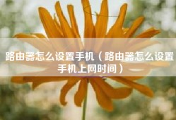 路由器怎么设置手机（路由器怎么设置手机上网时间）