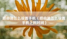 路由器怎么设置手机（路由器怎么设置手机上网时间）