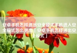 安卓手机怎样退出安全模式手机进入安全模式怎么退出「安卓手机怎样退出安全模式」