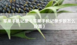 苹果手机记录（苹果手机记录步数怎么设置）