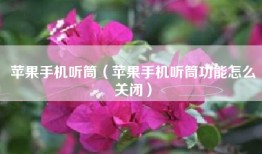 苹果手机听筒（苹果手机听筒功能怎么关闭）